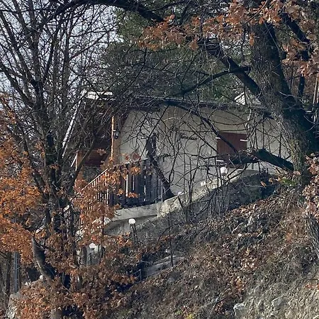 La Terrasse *