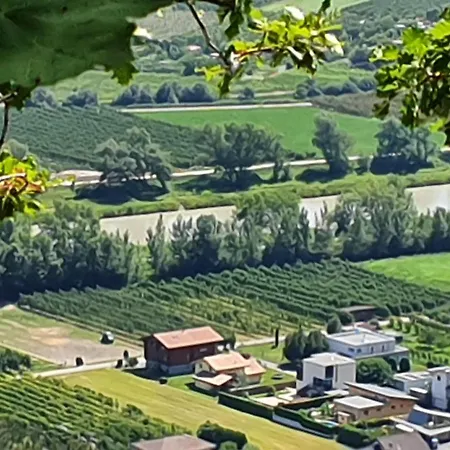La Terrasse *